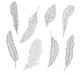 Monochrome feather. Hand drawn feathers on isolated white background