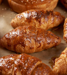 baked croissants in a baking sheet on brown parchment paper, delicious and appetizing pastries