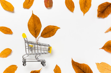 Autumn sale: shopping cart with yellow fall leaves framed with dry leaves on white background....