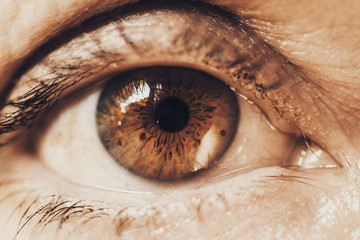 close-up detail of mature woman with brown green eye