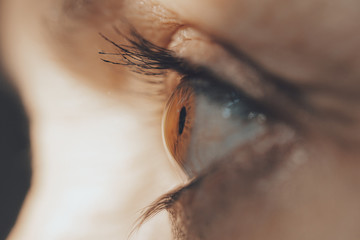 Close up view of young woman eye with eyelashes and eyebrow looking away