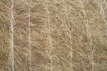 haystacks in a village field, closeup of round haystack, blurred background