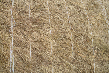 haystacks in a village field, closeup of round haystack, blurred background