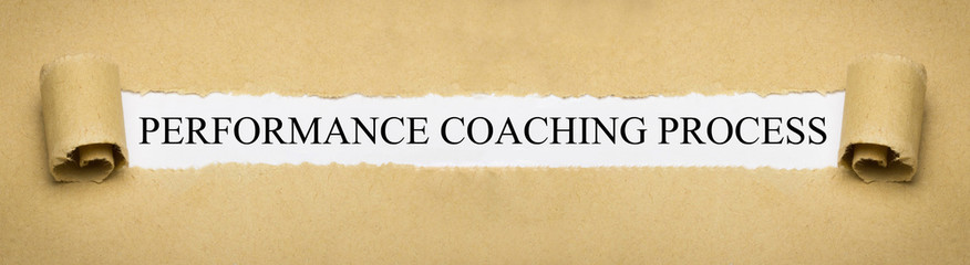 Performance Coaching Process
