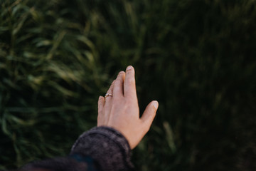 Wiese mit Hand im Gr&uuml;nen