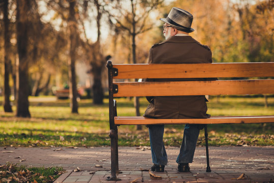 Rear Back Behind View Photo Of Old White Haired Grandpa Husband Street Walk Lonely Sit Bench With Stick Sad Miss Wife Widower Wear Glasses Jacket Cap Autumn City Empty Deserted Park Outside