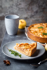 Slice of homemade delicious fresh baked Rustic Apple Pie on gray backgrounf