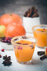 Spicy hot pumpkin punch or sangria in a glass with apple, cinnamon, anise. Halloween and Thanksgiving. Traditional autumn, winter drinks and cocktails