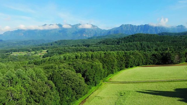 戸隠高原のそば畑（ドローン空撮）