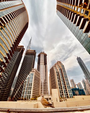 skyscrapers in dubai united arab emirates