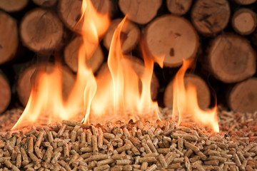 Wooden biomass in flames. Pellets made of fir wood