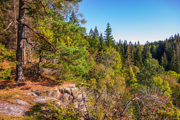 Old primeval forest by a rock with autumn colors in the forest
