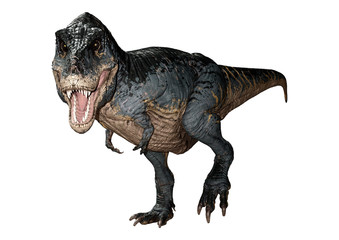 3D Rendering Tyrannosaurus Rex on White
