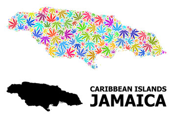Vector Collage Map of Jamaica of Colored Cannabis Leaves and Solid Map