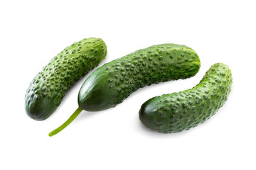 Three pimpled cucumbers isolated on a white background with a clipping path