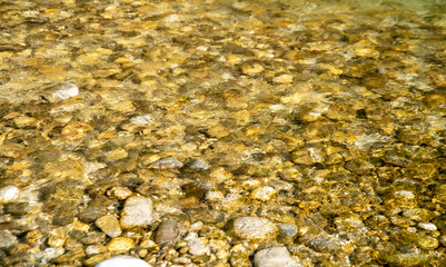 stones in the clear water of a mountain river