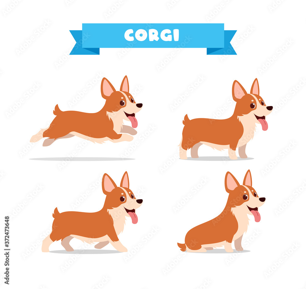 Wall mural cute corgi dog animal pet with many pose bundle set