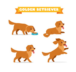 cute golden retriever dog animal pet with many pose bundle set