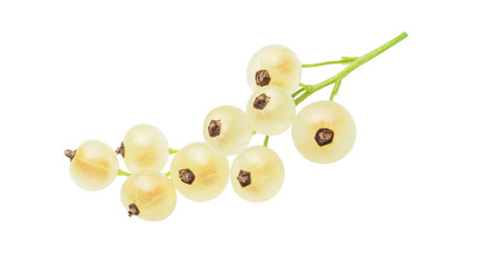 white currant isolated on white