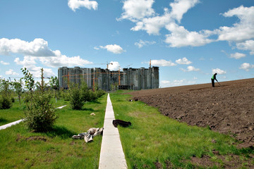 Fototapete bei efototapeten.de bestellen   