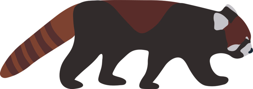 red panda walking, brown and black clip art preview