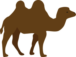 Camel in vector format. Abstract illustration. Drawn by hands. Use for T-shirts, fabrics, postcards.