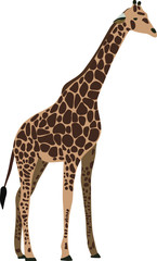 Giraffe in vector format. Abstract animal. Hand drawn.