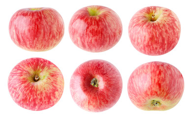 Isolated red apples. Collection of whole red striped apple fruits at different angles isolated on white background