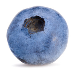 single blueberries isolated on white background. macro.