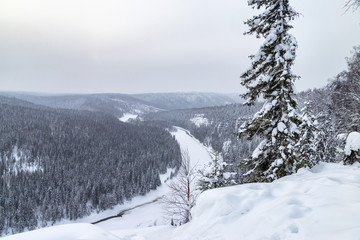 Fototapeta na wymiar Snow-covered trees above the river valley