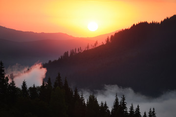 Obrazy na Szkle  Świt w górach. Mgła wśród gór, zielony las iglasty na zboczach i słońce wschodzące zza gór.