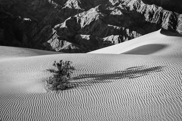 Death Valley Solitude in Black & White