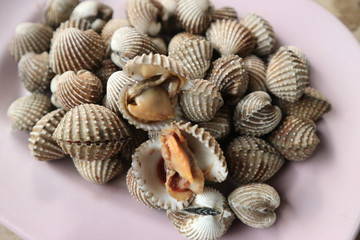 Close up seafood Thailand menu called Hoi Krang Pao or Grilled Cockle on a plate.