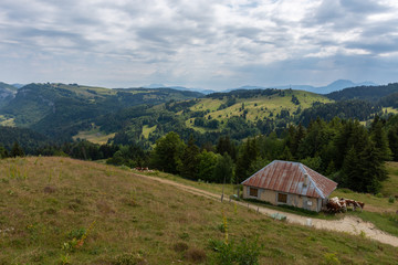 étable dans le massif des bauges