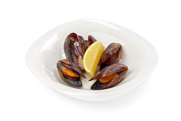 Cooked mussels in shells isolated on white