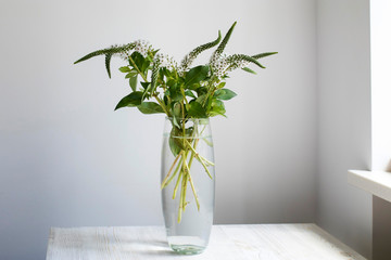 A bouquet of white veronica with white bells in a tall narrow vase on a grey table on the