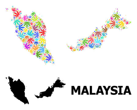 Vector Collage Map of Malaysia of Psychedelic Cannabis Leaves and Solid Map