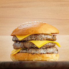 Fresh burger with cheese on wooden background