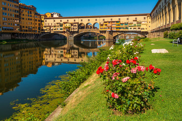 Fototapeta na wymiar the famous Florence Ponte Vecchio shots from the Arno water level with flowers in the foreground and reflections of the bridge on the water