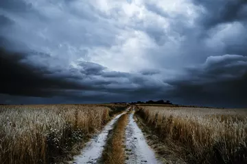 Zelfklevend Fotobehang Dramatic storm clouds timelapse over rye fields. Country landscape of the hurricane. Very windy weather. Plain field of wheat against the background of dark sky © creativeneko