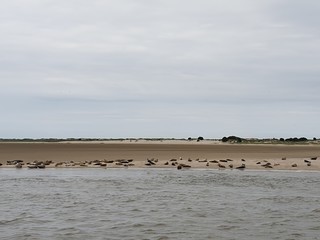 Urlaub auf Baltrum