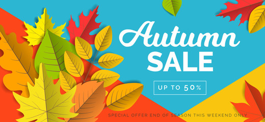 Fototapeta na wymiar autumn sale special offer creative banner with leaves on geometric background vector illustration
