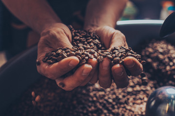 Closeup of man holding fresh roasted beans in his hands.