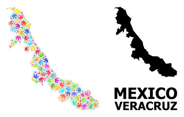Vector Collage Map of Veracruz State of Bright Cannabis Leaves and Solid Map