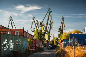 harbor cranes in summer hot evening - obrazy, fototapety, plakaty