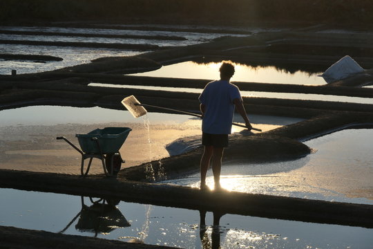 paludier r&eacute;colte du sel