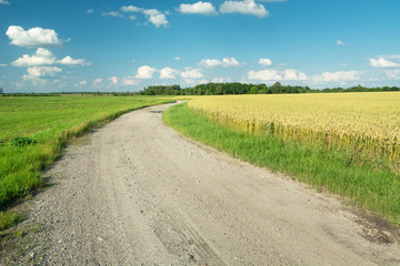 Gravel road through fields and meadows, summer view