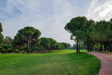 Landscape of Golf courses with a glade, paths and forest