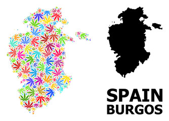 Obraz premium Vector Collage Map of Burgos Province of Psychedelic Marijuana Leaves and Solid Map