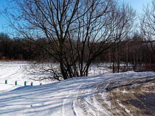 Obraz premium field near the forest in winter, Moscow